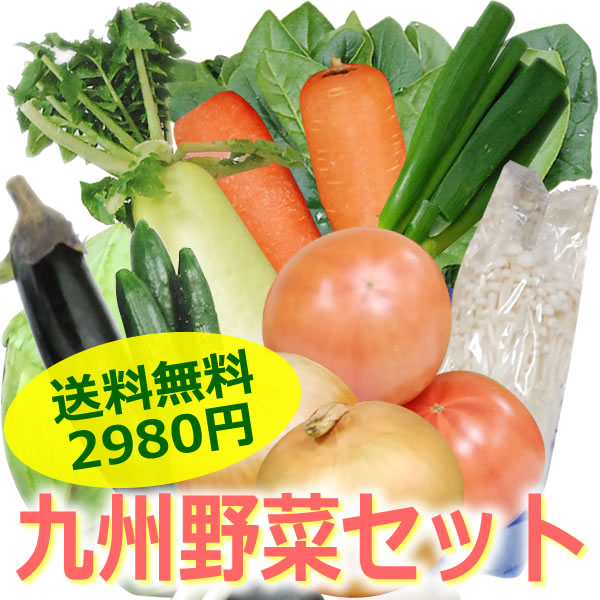 送料無料 九州野菜セット アイテム口コミ第7位