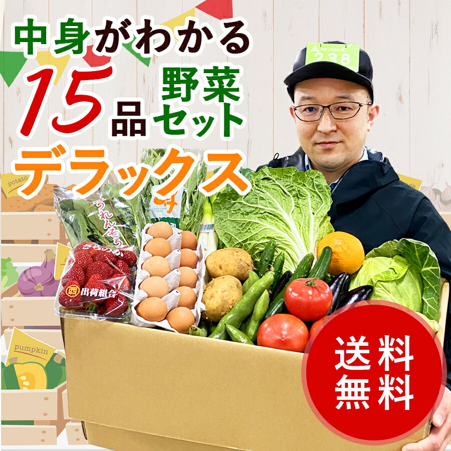 ＼PT5倍 15日00:00～23:59／ なかみがわかるデラックスセット（野菜・果物）　全15品　N19