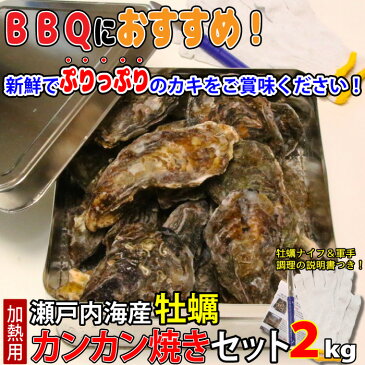 瀬戸内海産 牡蠣 カンカン焼きセット 2kg (1缶に約24個〜36個) 殻付き カキ かき 鮮魚 缶 BBQ ギフト