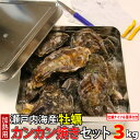 商品説明 商品名：瀬戸内海産生冷凍　殻付きカキ 産地：兵庫県・香川県・広島県 重量：3kg（1缶あたり約36個〜54個入り） サイズ：ケースのサイズ（255mm×255mm×130mm） 保存方法：冷凍（商品到着後は、なるべくお早めにお召し上がりください。) 賞味期限：商品到着後1ヶ月以内を目安にお召し上がりください。 販売業者：大津水産株式会社 （滋賀県大津市瀬田大江町59番1号） 備考：発送については冷凍便での発送となります。 他の商品と同梱および着払いができません。あらかじめご了承ください。 ※送料無料商品に関して、北海道・沖縄は別途980円が加算されます。