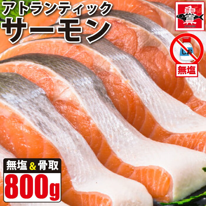 鮭 サーモンの人気おすすめランキング ベストオイシー