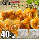 牛肉商 徳志満 近江牛ひとくち餃子 2箱 (1箱20個入160g) ギョーザ ぎょうざ 中華 簡単調理