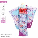\楽天fashionセール ポイント5倍 5%クーポン 5/7 9:59まで/ 七五三 着物 7歳 フルセット レンタル アンティーク 着物 七五三 女の子 7...