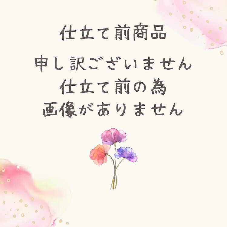 振袖 レンタル 赤 【赤疋田鶴に梅亀