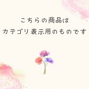 \お買い物マラソン お得なクーポン配布中/ カテゴリ用ページ