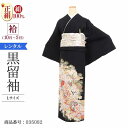 \6/4 20:00〜セール開始/ 黒留袖 レンタル 大きいサイズ 広幅 Lサイズ 霞取り宝尽くし 正絹 留袖 レンタル 留袖レンタル 黒留袖レンタル 【レンタ...