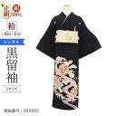 \6/4 20:00〜セール開始/ 黒留袖 レンタル 大きいサイズ 広幅 Lサイズ 疋田流水菊 正絹 留袖 レンタル 留袖レンタル 黒留袖レンタル 【レンタル】...