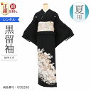 \楽天fashionセール 期間中お得7/12まで/ 結婚式 黒留袖 レンタル 夏用 単衣 Mサイズ 白菊グレー流水 正絹 留袖 レンタル 留袖レンタル 黒留袖...