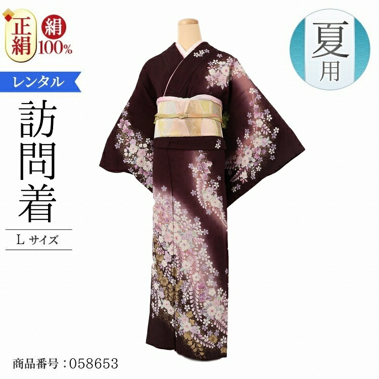 単衣 訪問着 レンタル 大きいサイズ 正絹 モダン 夏用 お宮参り 着物 レンタル 母親 Lサイズ 濃紫辻が花 【レンタル】 七五三 母親 着物 訪問着 単衣 ...