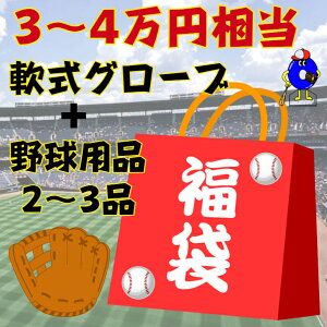 【ブラックフライデー全品P5倍！】野球 福袋 軟式グローブ 3〜4万円相当【軟式グラブ+野球用品2〜3品】野球用品 グローブ グラブ 内野手用 外野手用 投手用 最高級 プロステイタス ゴールドステージ 激安 数量限定 年末 年始 2024 セール 2024年福袋 プレゼント 予約