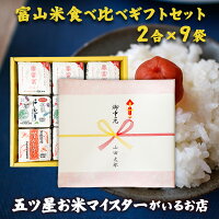 【送料無料】 お祝い お米 食べ比べ 令和5年 富山のお米3種を...