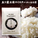 令和5年産 米 富山県産 精米 300グラム お米 富山県産てんたかく1袋 （300g 約2合）【送料無料】お試し メール便 グルメ食品