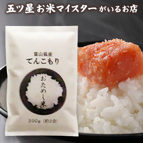 令和5年産 お米 富山県産てんこもり1袋 （300g 約2合） 精米 300グラム 米 富山県産【送料無料】お試し メール便 グルメ食品