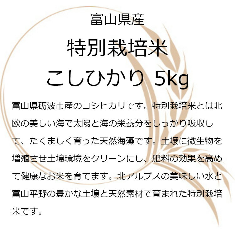 サンプル画像3