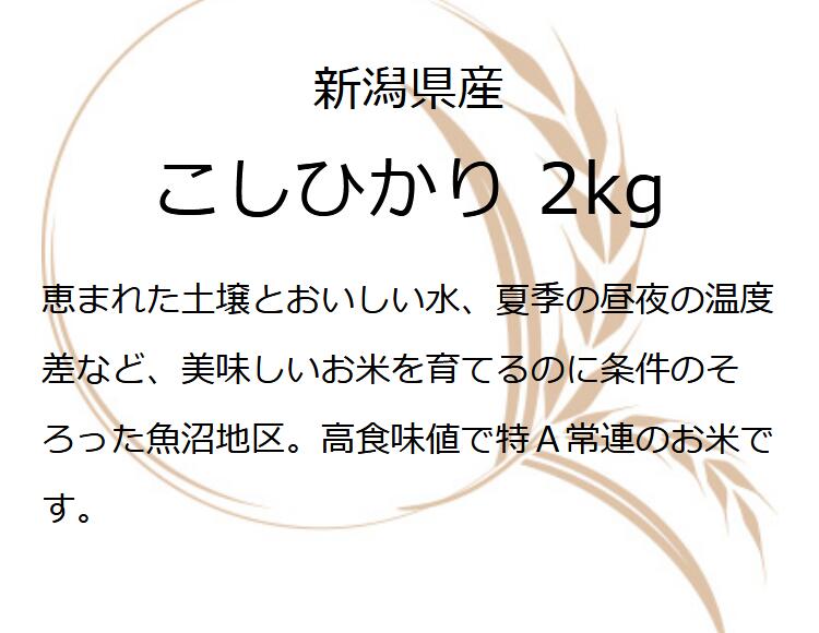 サンプル画像3