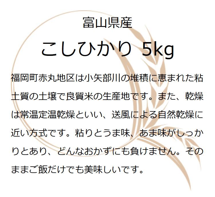 富山県産赤丸こしひかり 令和8年産 新米 富山県産 5kg お米ギフト コシヒカリ 白米 5キロ 精米 分づき米 贈り物 ギフト 年寄り 一人暮らし 仕送り ご飯 入学内祝い 入学祝い 入園祝い 卒業祝い 引っ越し 挨拶 プレゼント 食品 引っ越し祝い 米 お米 名入れ のし対応 無洗米 oozora-10000000 五ツ星お米マイスター大門食糧 サンプル画像3