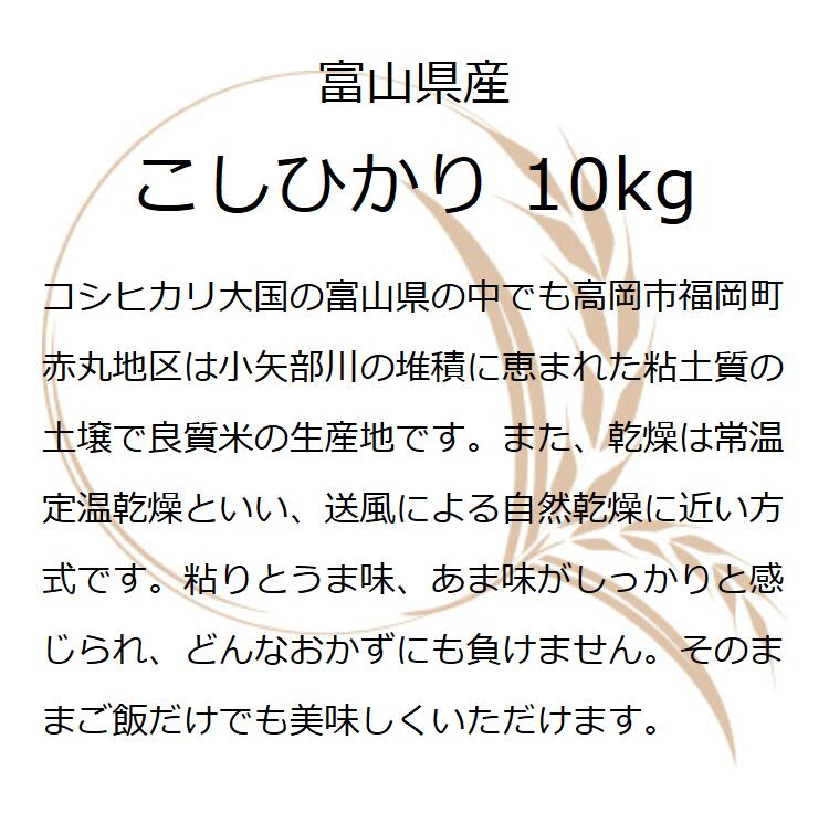 令和7年産 米 富山県赤丸産こしひかり10kg...の紹介画像3