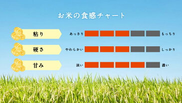 令和3年 10kg 富山県産 あきだわら 米 5kg×2袋 お米ギフト 米 富山県産 精米 10kg お中元 お米 プレゼント 白米 10キロ 分づき米 コロナ 応援 食品 入学内祝い 引っ越し 挨拶 名入れ のし対応