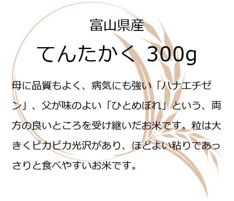 【送料無料】 令和7年産 富山のブランド米。粘りすぎずあっさりとした味わいで、さらさらと食べれます。 米 富山県産 精米300グラム お米 300g 食品　令和7年産 新米 富山県産 精米 300グラム 国産 お米 富山県産てんたかく1袋 （300g 約2合）【送料無料】お試し メール便 グルメ食品