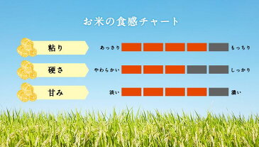 北陸三県食べ比べギフトセット(2合×12袋)お米 ギフト 米 食べ比べ 父の日 北陸三県 白米 精米 ギフト 2合3種 富富富 ひゃくまん穀 いちほまれ 300g 個包装 真空包装 詰め合わせ 入学祝 快気祝い 引っ越し祝い 入学内祝い 引っ越し 挨拶 名入れ プレゼント のし対応