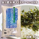 令和5年産 米 富山県産 こしひかり海藻アルギット米 5kg 5kg プレゼント お米ギフト 精米 分づき米 コシヒカリ 白米 5キロ 食べ物 食品 入学内祝い 就職祝い お米 仕送り ご飯 引っ越し 挨拶 名入れ のし対応 母の日 花以外 ギフト 年寄り 一人暮らし 令和5年