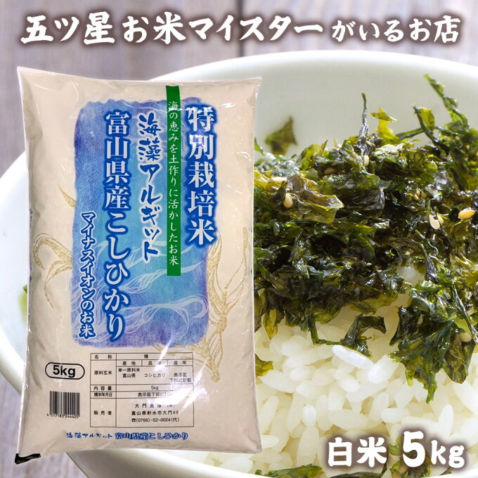 米 富山県産 お米 精米 5kg コシヒカリ 5キロ 分づき米 令和元年富山県産こし...