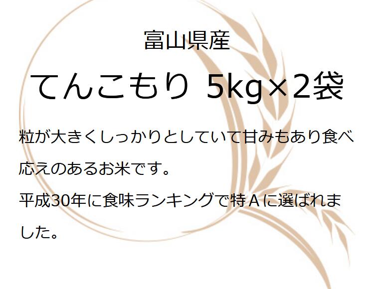 令和8年産 新米 富山県産 5kg×2袋 てんこもり 10kg お米ギフト 精米 常温 白米 10キロ 分づき米 令和8年 ギフト 年寄り 一人暮らし 仕送り ご飯 プレゼント お祝い 引っ越し 挨拶 食品 国産 お歳暮 お米 贈り物 引っ越し祝い 米 食べ物 名入れ のし対応 無洗米 oozora-10000035 五ツ星お米マイスター大門食糧 サンプル画像3