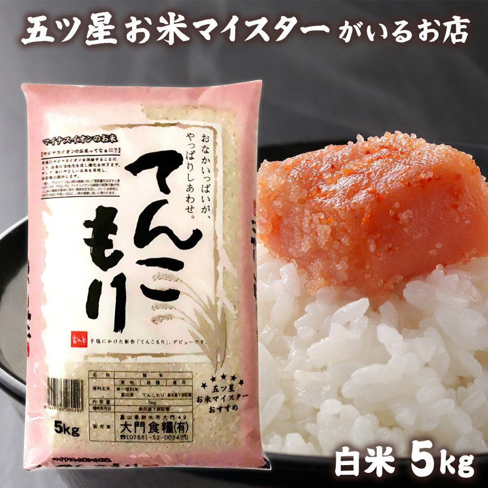 令和5年産 米 富山県産 5kg てんこもり 精米 分づき米