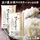 令和5年産 米 富山県産 10kg（5kg×2袋） 富山県産てんたかく5kg×2袋 食べ物 精米 分