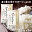 令和5年産 米 富山県産 10kg（5kg×2袋） 富山県産てんたかく5kg×2袋 食べ物 精米 分づき米 贈り物 プレゼント 白米 10キロ 令和5年 母の日 花以外 入学内祝い 入園祝い 卒業祝い お米 引っ越し 挨拶 仕送り ご飯 ギフト 年寄り 一人暮らし お米ギフト 名入れ のし対応