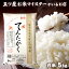 令和5年産 米 富山県産 てんたかく 5kg 食品 お米ギフト 分づき米 精米 常温 贈り物 食べ物 白米 5キロ プレゼント 令和5年 入学内祝い 卒業祝い お米 引っ越し 挨拶 仕送り ご飯 ギフト 年寄り 一人暮らし 名入れ のし対応