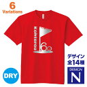 還暦祝い 名入れTシャツ デザインN 賀寿 祝い歳 贈り物 プレゼント いろいろなバリエーション