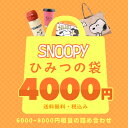 スヌーピー 福袋 キャラクター ふくぶくろ ひみつの袋 ふくろ おしゃれ snoopy キャラ SNOOPY PEANUT レディース プレゼント おすすめ スヌーピーグッズ スヌーピー好き おしゃれ ふくぶくろセット キャラセット 小学生