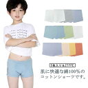 5枚セット!キッズ 使い捨て下着 使い捨て 携帯 コットン100% 多色 子供用 使い捨てショーツ 旅行 ショーツ 綿100% 女の子 男の子 使い捨てパンツ ...
