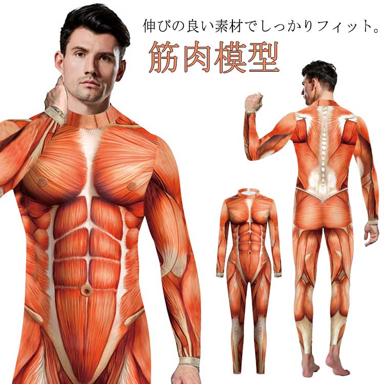 模型 人体模型 筋肉模型 ハロウィン コスチューム 筋肉 人体 3D 大人 メンズ 衣装 プリント 全身タイツ