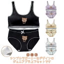 子供 ショーツ 小学生 ショーツ ブラトップ キッズ ブラ 下着 女の子 子供服 スポーツブラ ジュニ服 上下セット 女児 ガールズ 肌着 ショーツ インナー ...