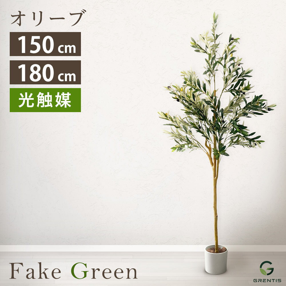 Olive - フェイクグリーン AG-OLI オリーブ 高さ150cm/180cm GRENTIS(グレンティス)【光触媒 人工 観葉植物 大型 鉢付 オフィスグリーン フェイク 造花 室内 本物そっくり 植栽】