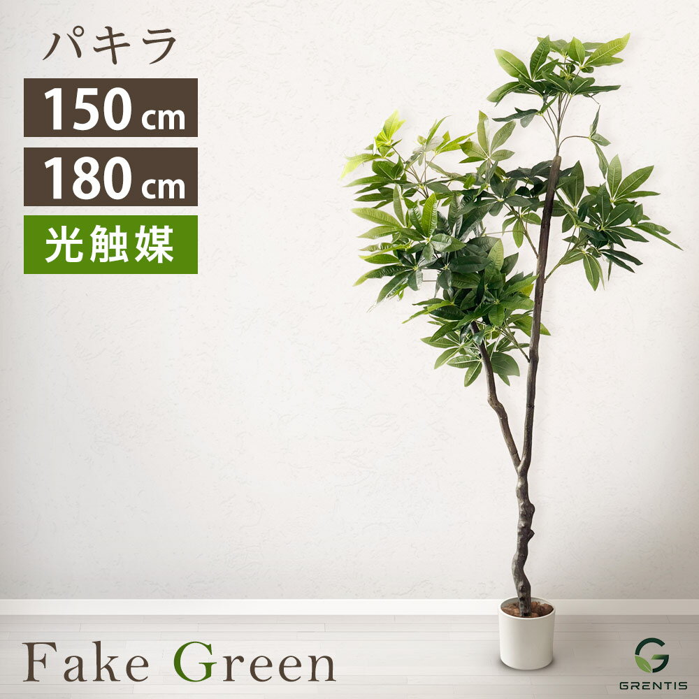 楽天市場】支柱（種類（植物）パキラ）（花・ガーデン・DIY）の通販