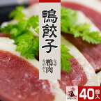 【送料無料】鴨餃子 40個入り 2つの味から選べる！赤鴨餃子&白鴨餃子/鴨肉を使った ぎょうざ ギョウザ 中華 オシャレ 生餃子 ワインに合う つまみ 餃子フェス 家バル 冷凍餃子 フライパン お 取り寄せ オペレッタ52 冷凍ギョウザ