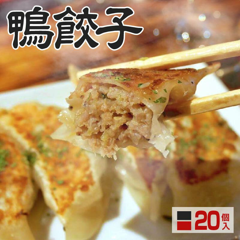 鴨 餃子 20個入り 味噌ダレ風味 鴨肉