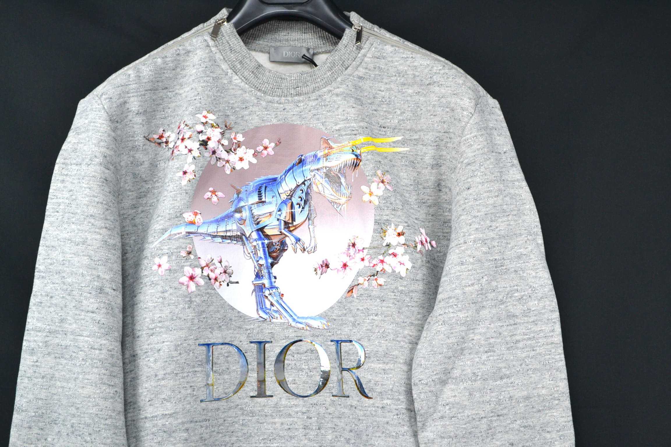 新規購入 Dior Sorayama Hajime ディオール 空山基 メンズ ダイナソーロボット グラフィック クルーネック スウェットトップス グレー 選べるサイズ コットン１００ 大人気 Opinion Cosmetic Www Malvestiti Com