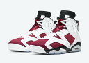 Nike Air Jordan 6 Retro OG 