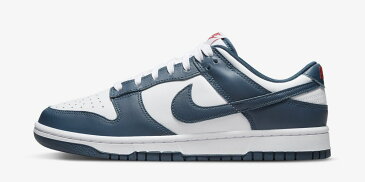 サイズ 選択可【国内配送】Nike Dunk Low Valerian Blue ナイキ ダンク ロー バレリアンブルー 25.5 26 26.5 27 27.5 28 28.5 29 29.5 30