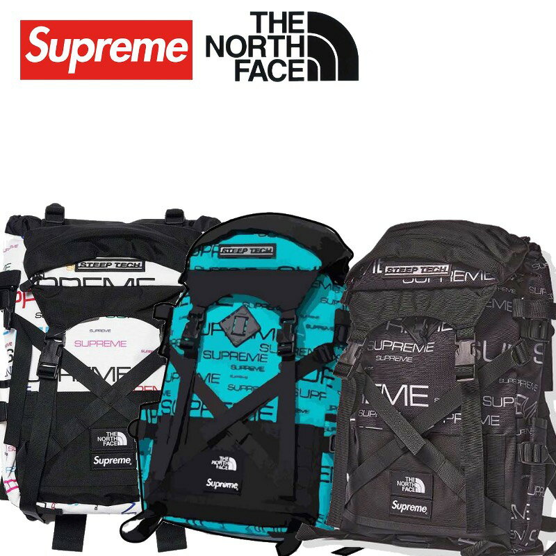 男女兼用バッグ, バックパック・リュック 21FW Supreme x The North Face Steep Tech Backpack x 