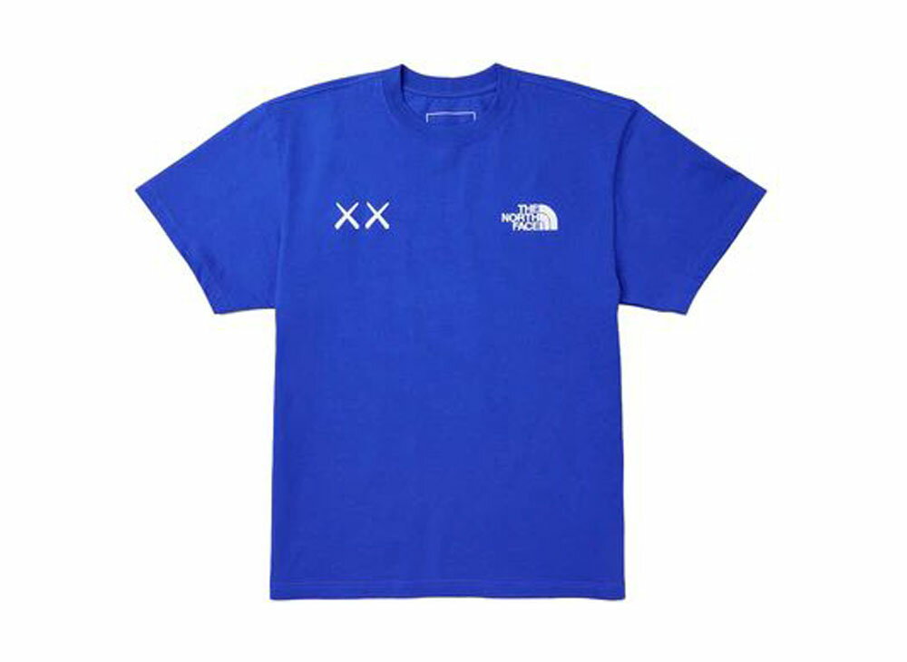 22SS The North Face Kaws Tee ザ ノース フェイス カウズ Tシャツ【中古】新古品