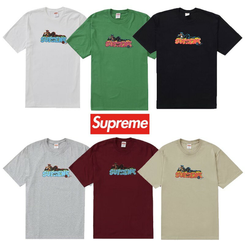 22FW Supreme Catwoman Tee シュプリーム キャットウーマン Tシャツ S M L XL Black Green Heather Grey Eggplant Stone White新古品