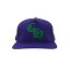 Chrome Hearts CH Silver Button Hat Purple Green ϡ CH С ܥ å Cap ˹ OneSize 53-60cmڿʡ