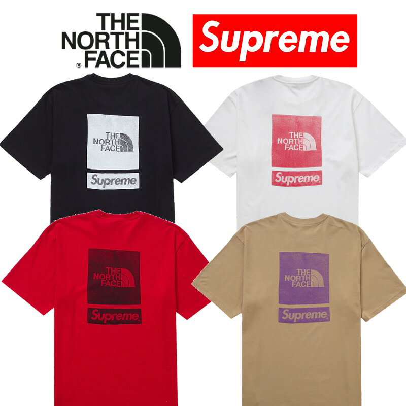 24SS Supreme The North Face S/