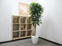送料無料 観葉植物 インテリア 造花 光触媒 人工観葉植物 人工樹木 オフィス用 光触媒加工済み ベンジャミン H1700mm(3)