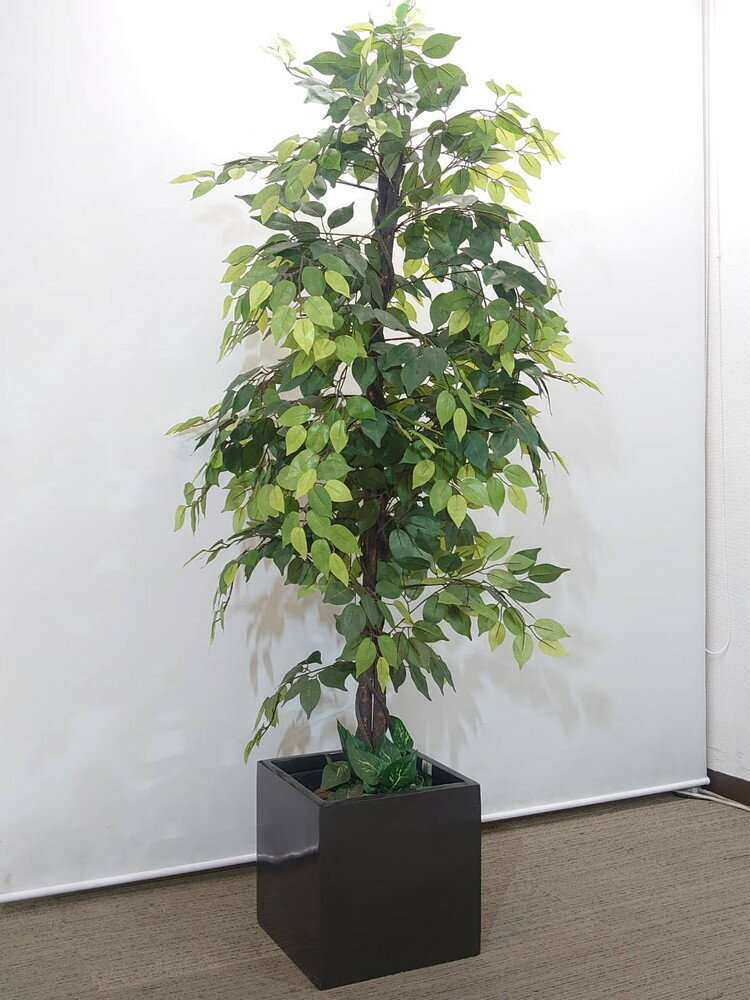 店頭併売□F00379□全高1800mm だぶる フェイクグリーン 造花 店頭併売□F00379□全高1800mm だぶる フェイクグリーン 造花